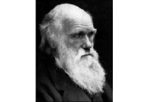 Darwin  Charles Robert  1809-1882