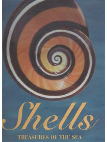 Shells, treasures of the sea,Hill Leonard