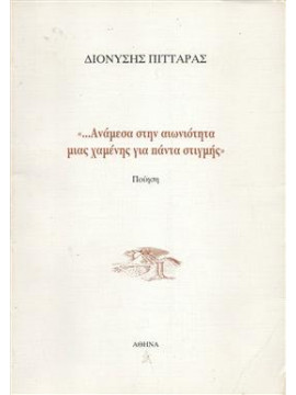 Ανάμεσα στην αιωνιότητα μιας χαμένης για πάντα στιγμής,Πιτταράς Διονύσης