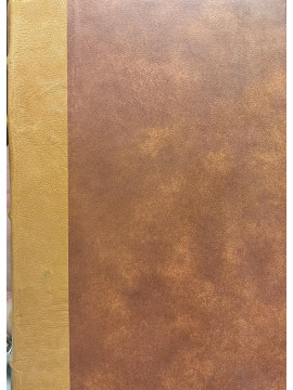 Πραγματεία του συνταγματικού δικαίου (Ε τόμος), Σαρίπολος, Νικόλαος Ι.1817-1887