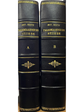 Μέγα γαλλοελληνικόν λεξικόν (2 τόμοι)