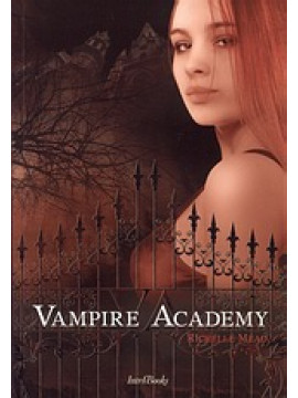 Vampire Academy,Mead  Richelle